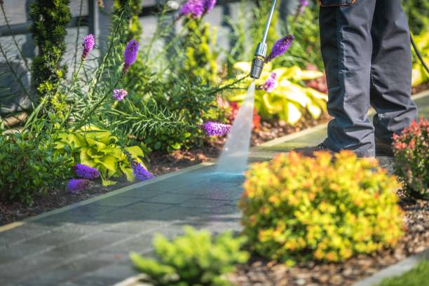Best Deck and Patio Pressure Washing in Lowes Island, VA